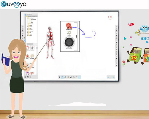 Экран касания Iwb взаимодействующий умный Whiteboard OEM
